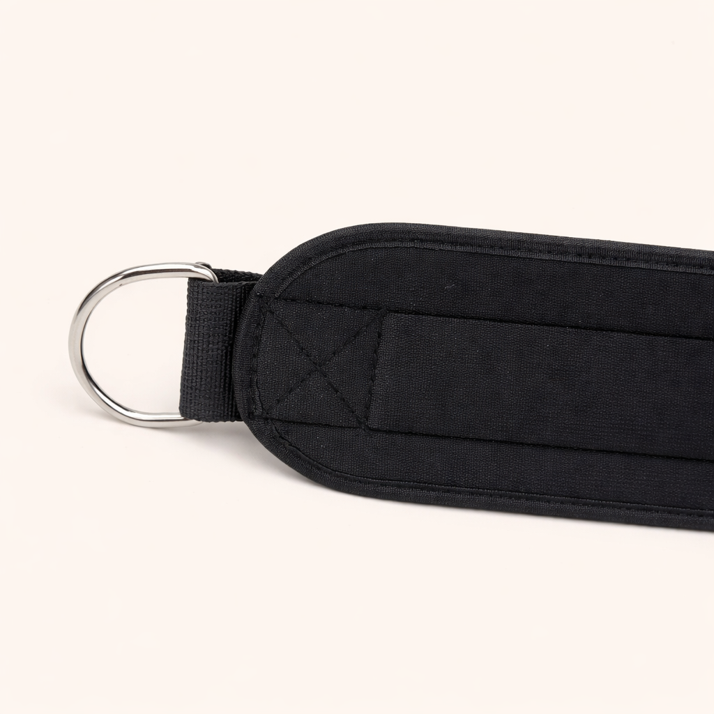 Weighted Dip Belt