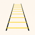 Agility Training Ladder